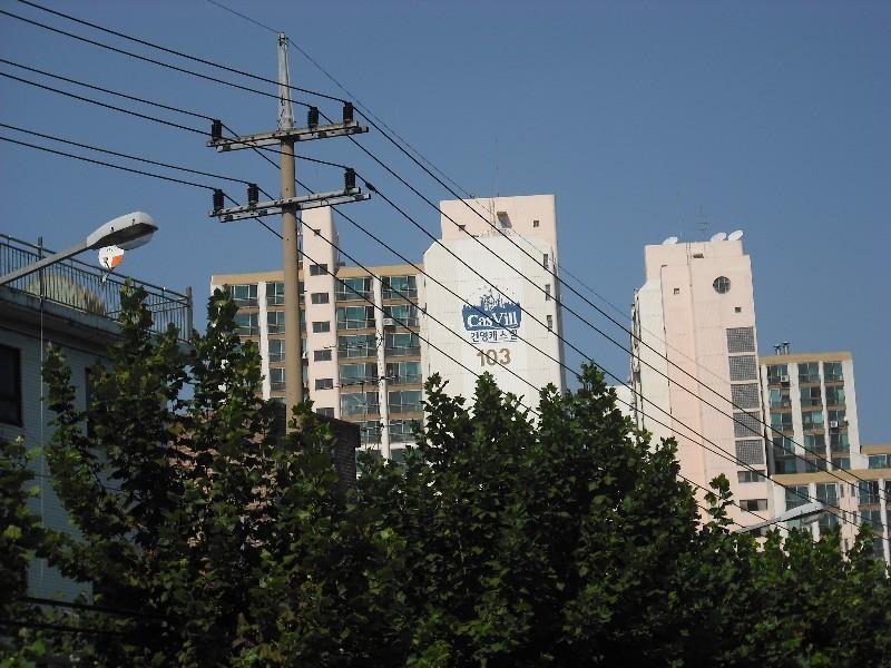 DSCF0018