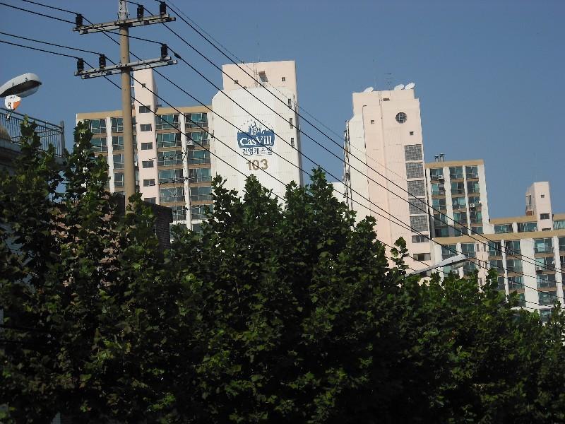 DSCF0019