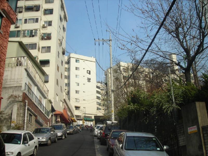 DSCN6993