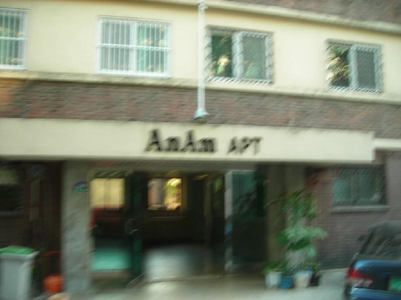 DSCN6584