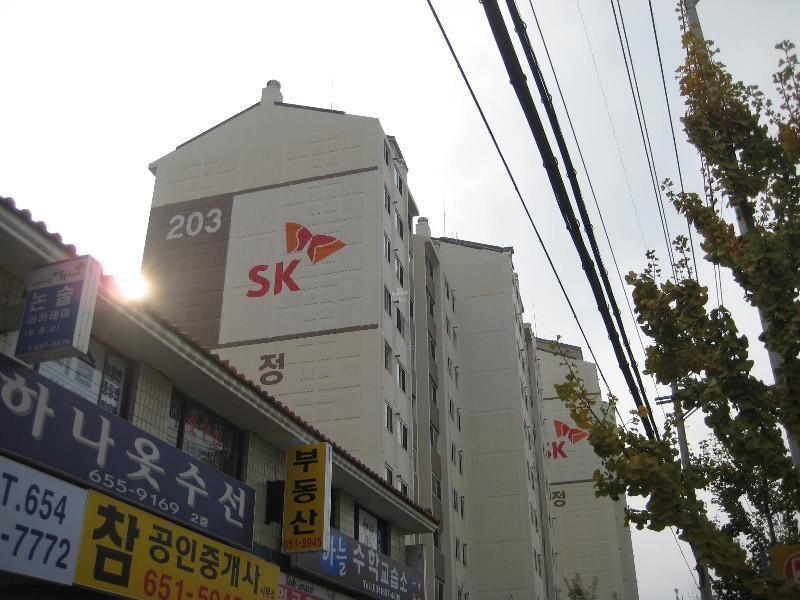 사진 444