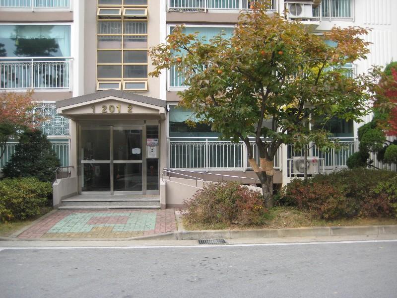 사진 447