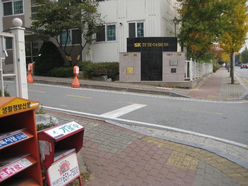 사진 445