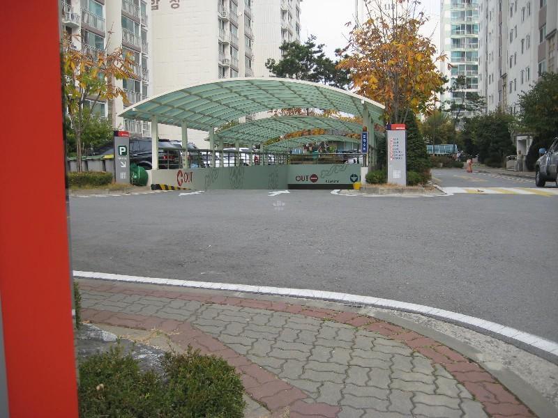 사진 446