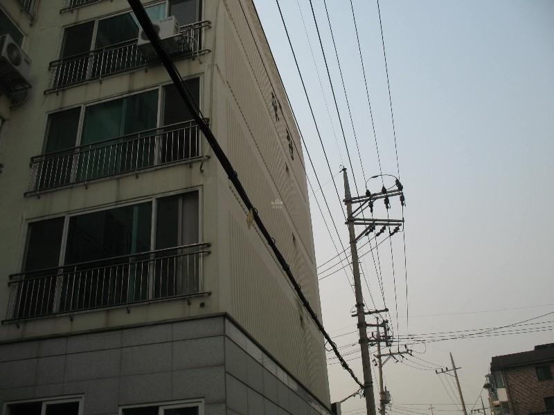 사진 867