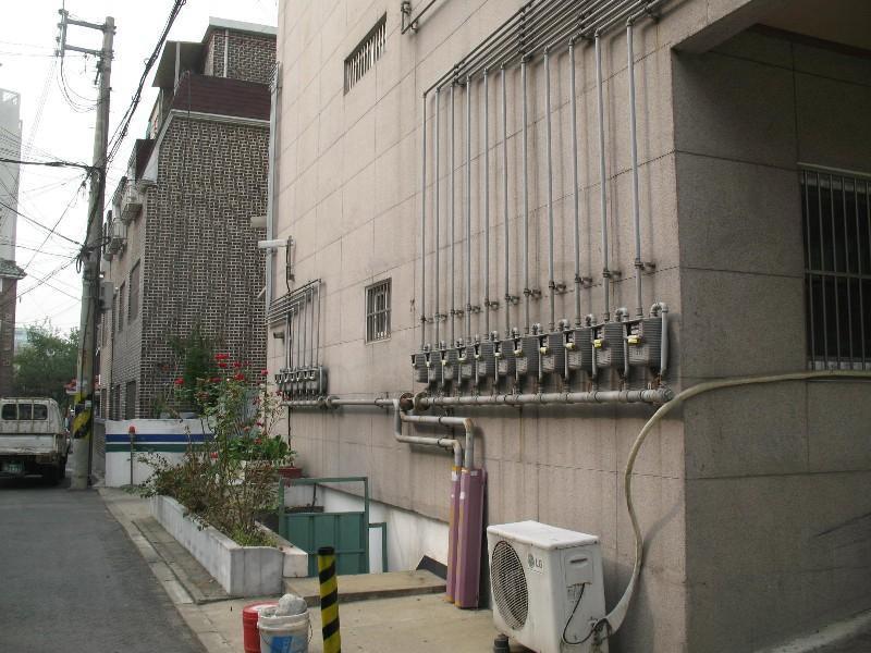 사진 341