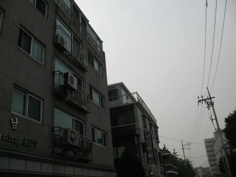 사진 338