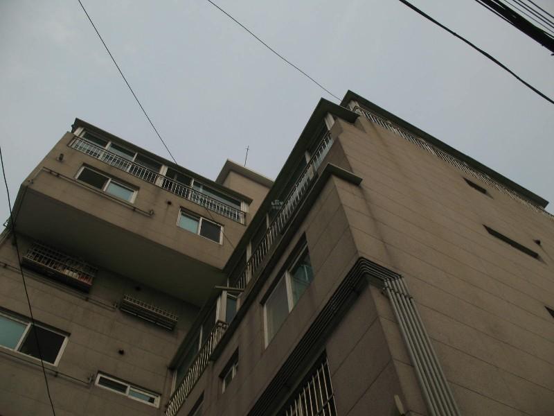 사진 346