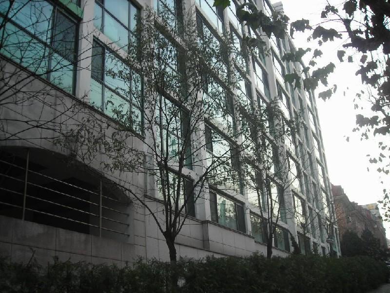 DSCN6963