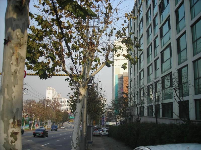 DSCN6965