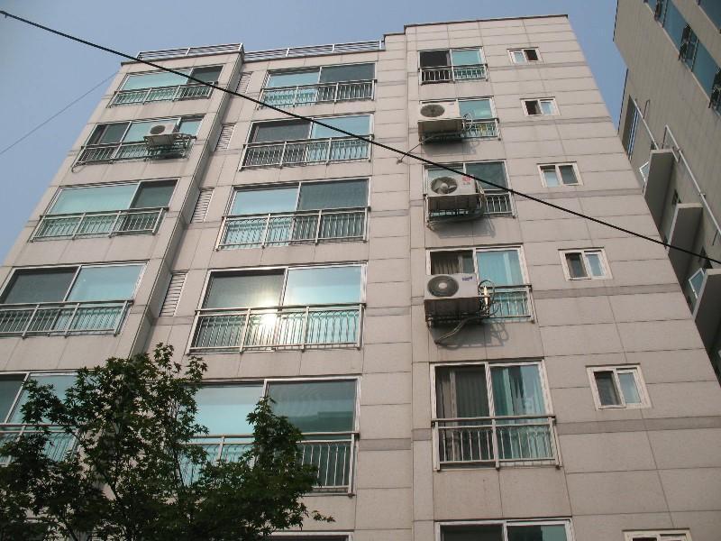 사진 438