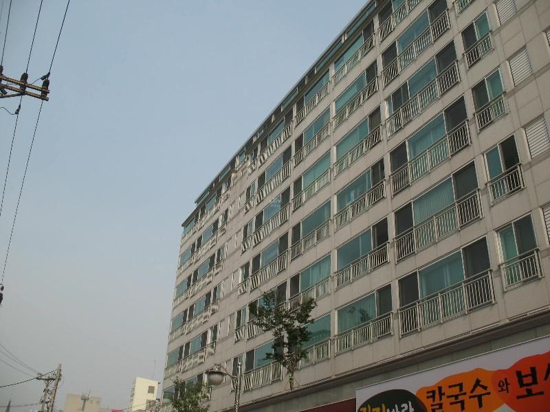 사진 439