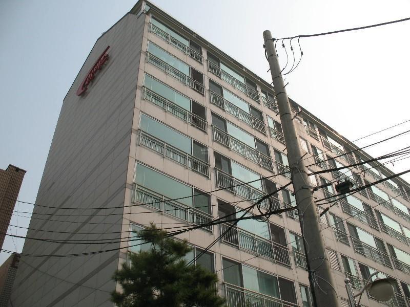 사진 441
