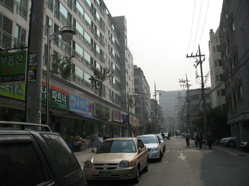 사진 442