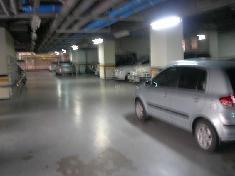 DSCN2626