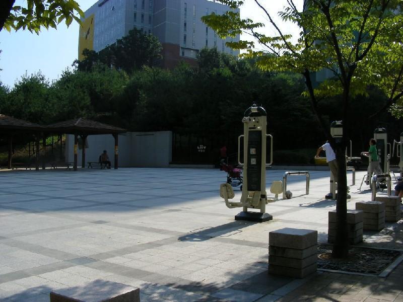 DSCN5645