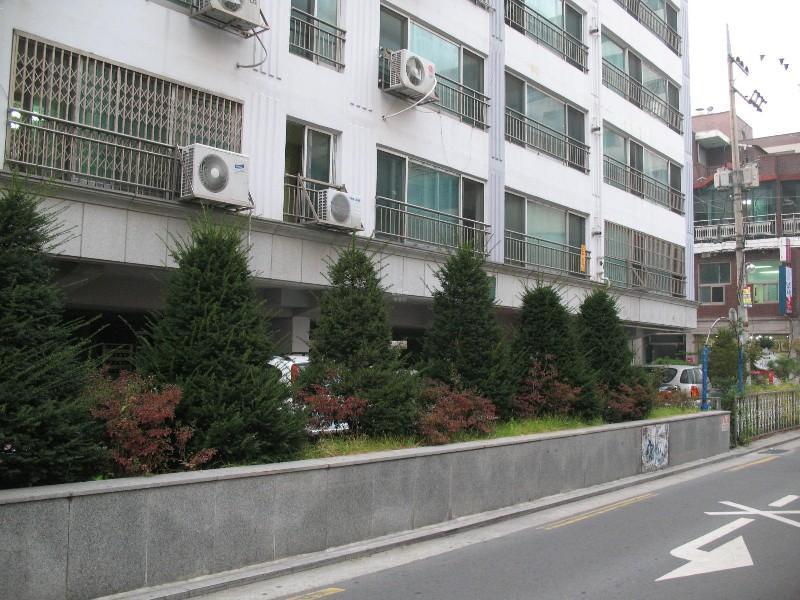 사진 913