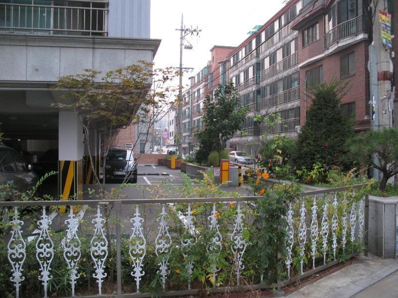 사진 915