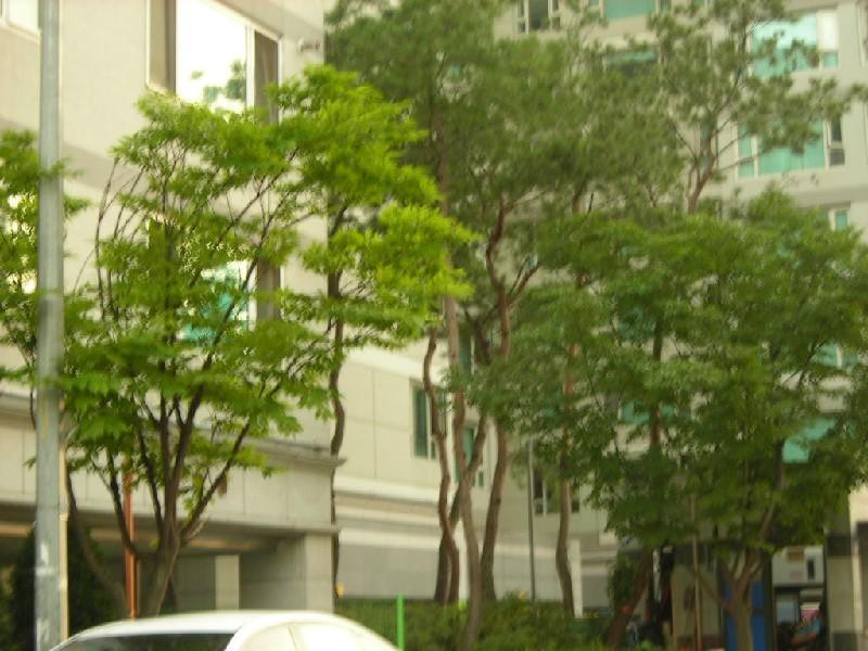 DSCN4765
