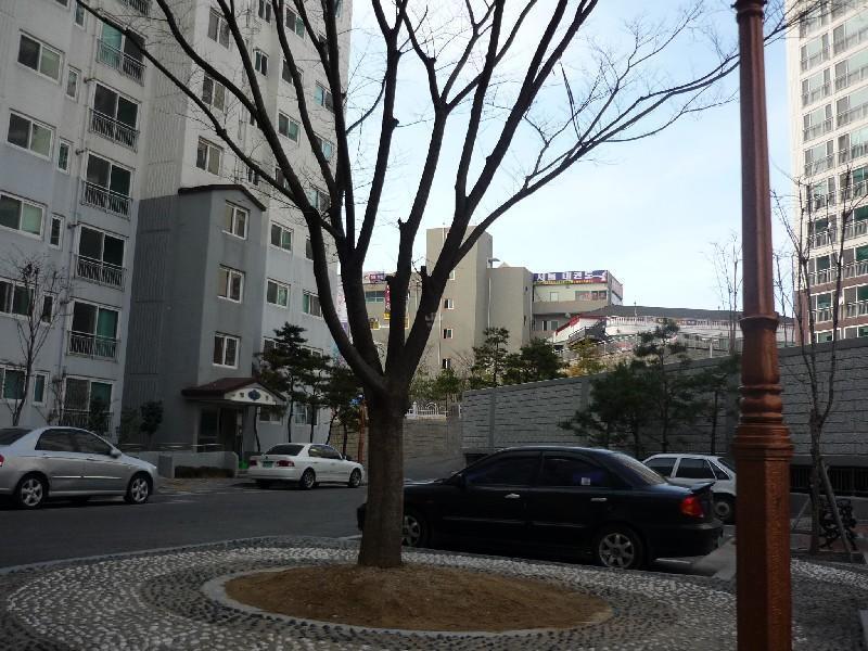 P1020498
