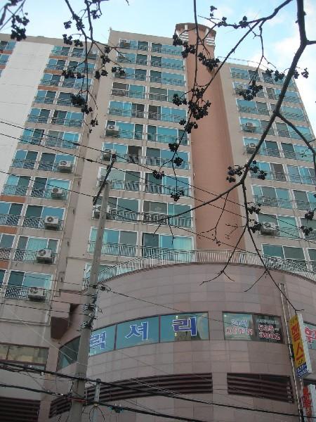 DSCN2548