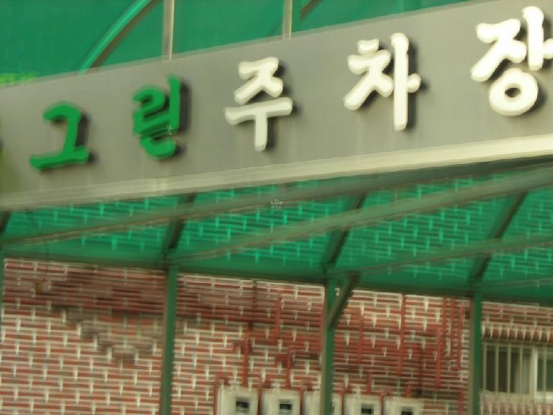 DSCN4418