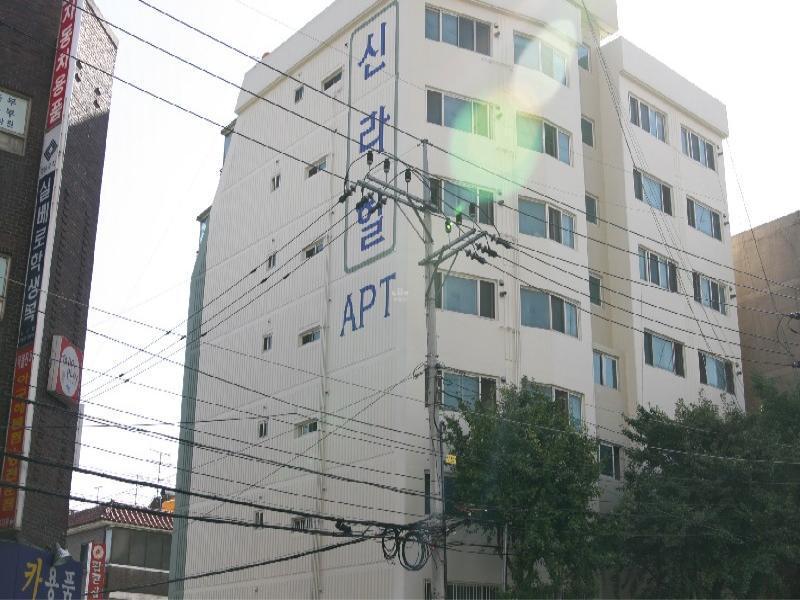 신라힐 (10)