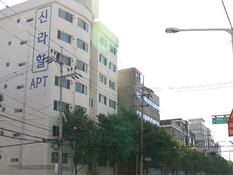 신라힐 (14)