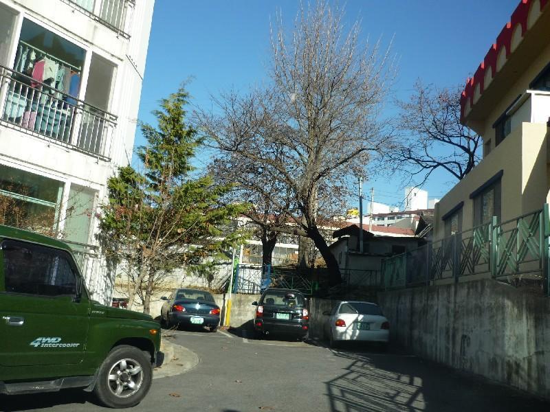 P1040560