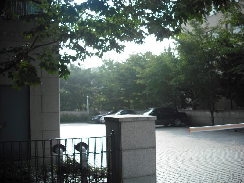 DSCF0252