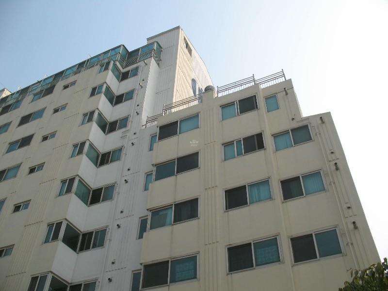 사진 215