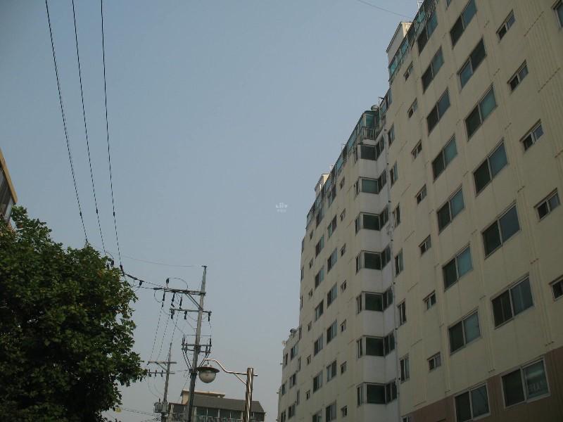 사진 216