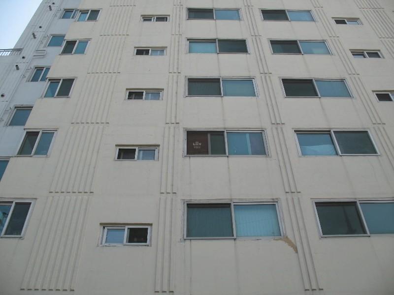 사진 220
