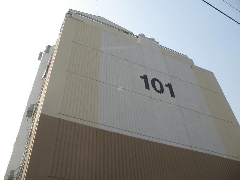 사진 223