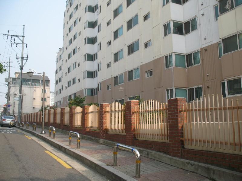 사진 214