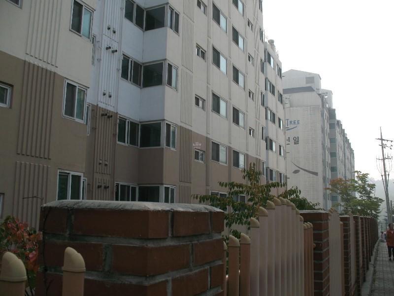 사진 219
