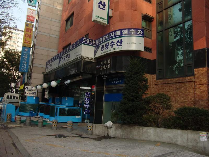 DSC09825