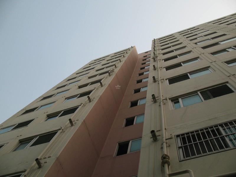 사진 681