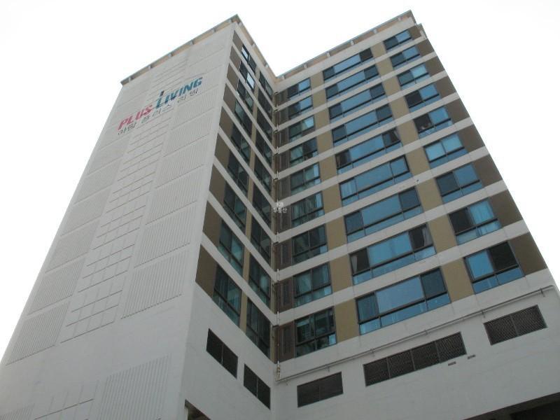 사진 427