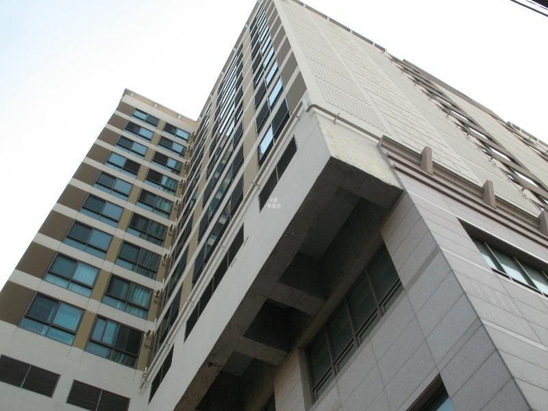 사진 430