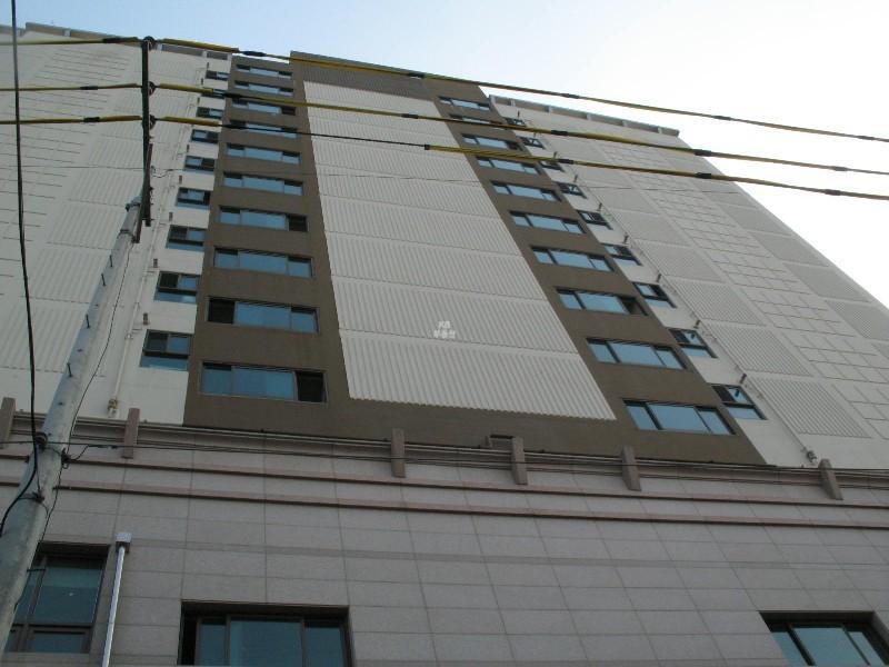 사진 431
