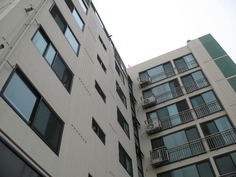 사진 391