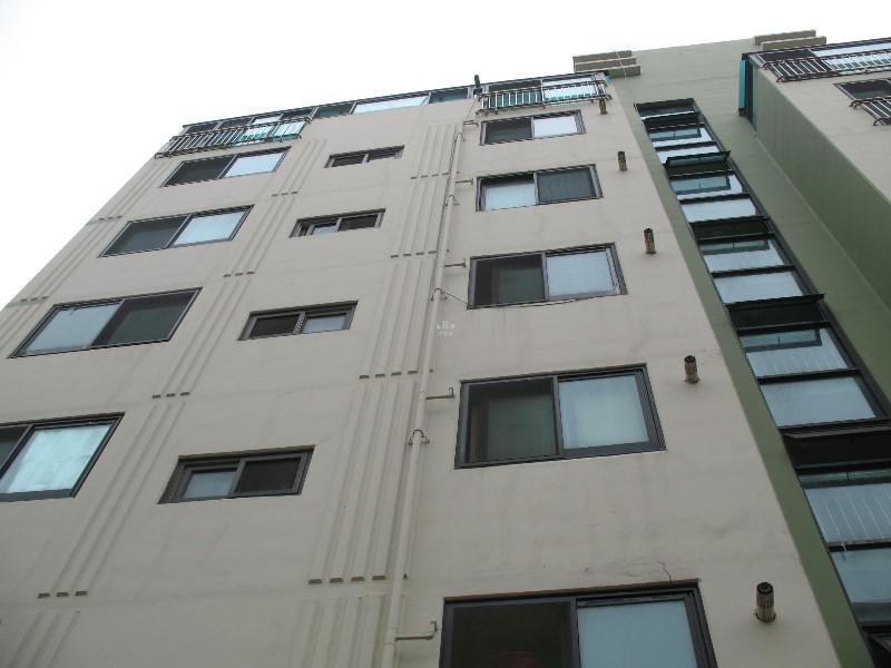 사진 396