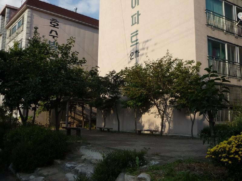 P1030540
