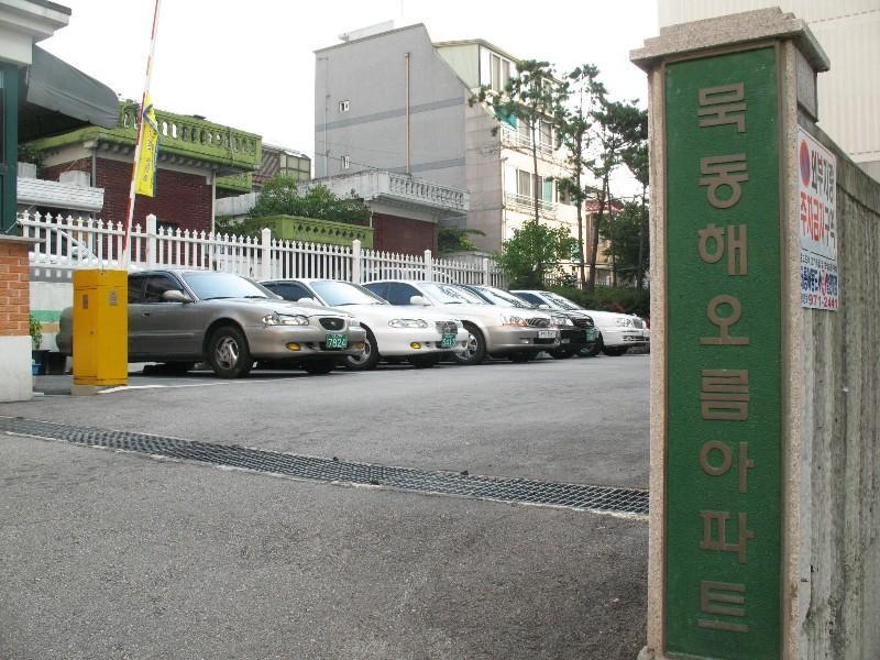 사진 462