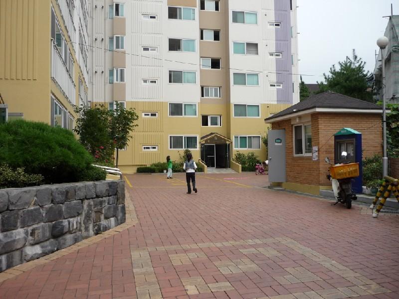 P1000310