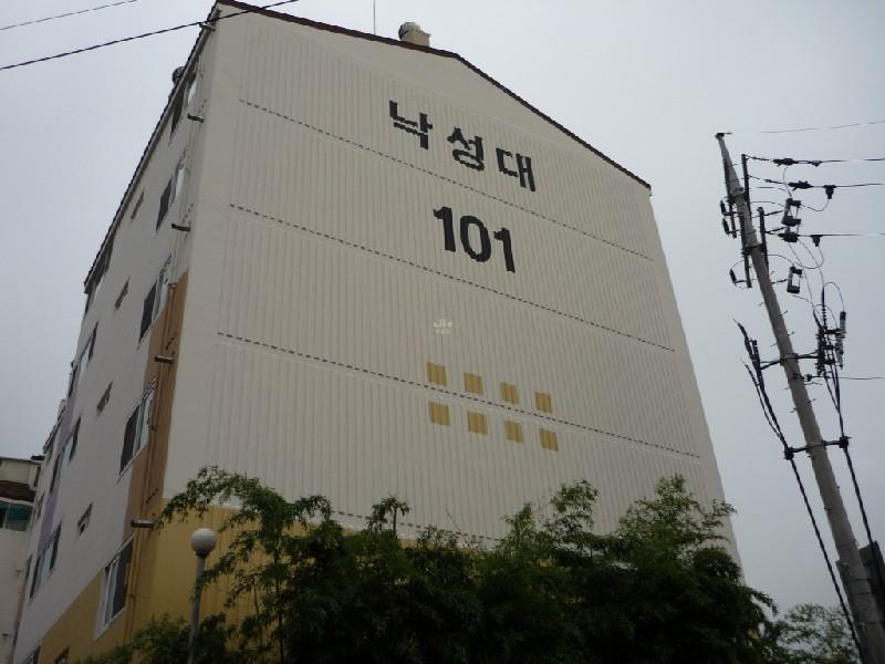 P1000311