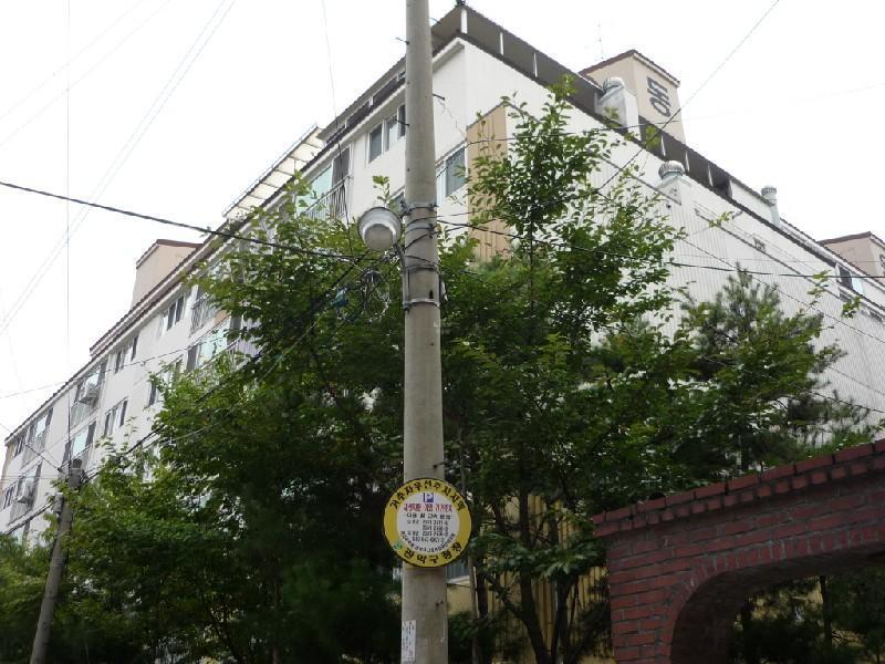 P1000313