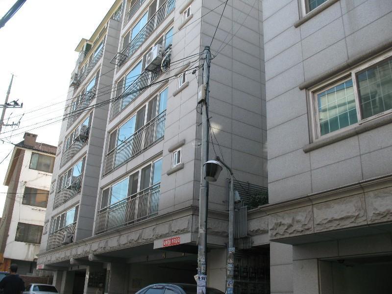 사진 210