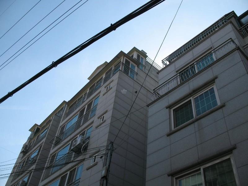 사진 211